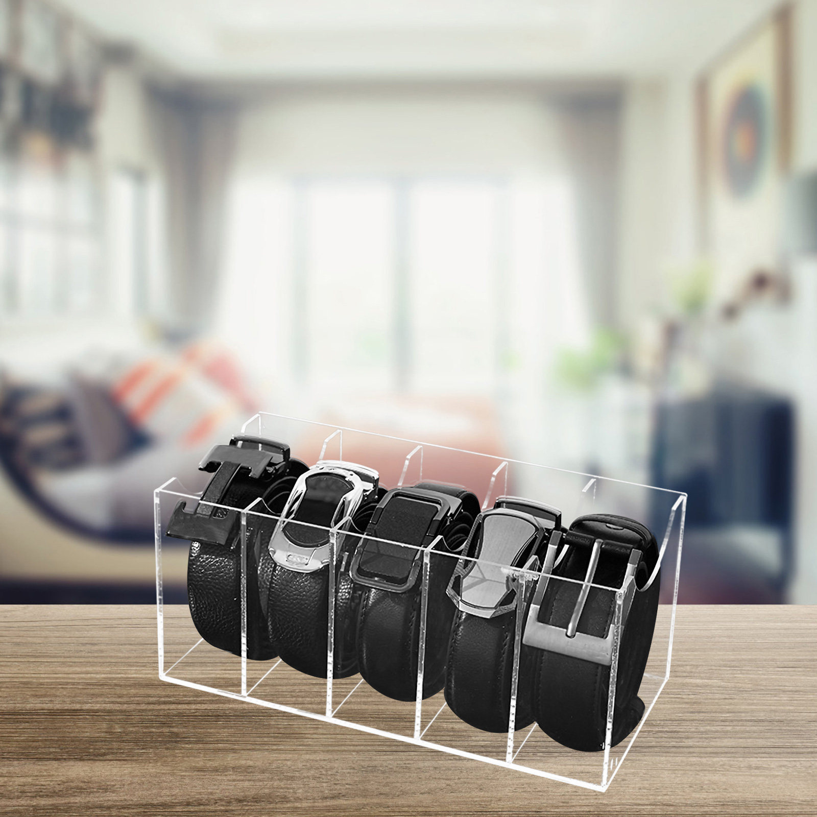 5-Compartment Transparent Belt - Women Accessories Holder ulasan dan harga